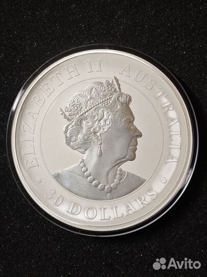 Серебряная монета Австралии Коала 2019г. 1000 г