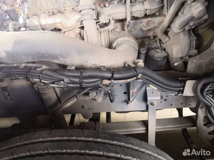 Новая электропроводка коса(жгут)на DAF с акпп/мкпп