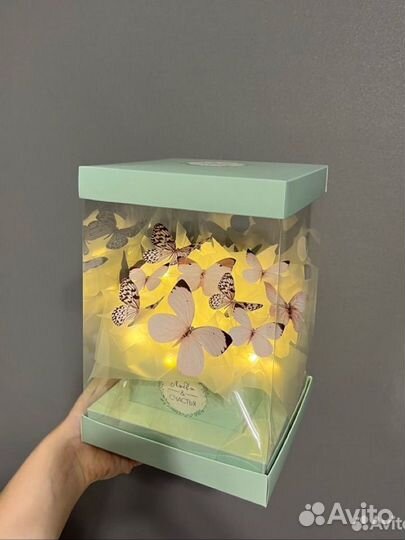 Бабочки в коробке