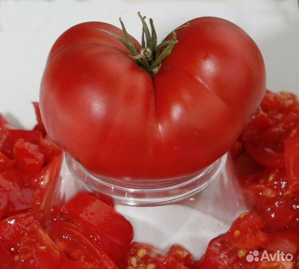 Коллекционные томаты. Семена. 500 сортов