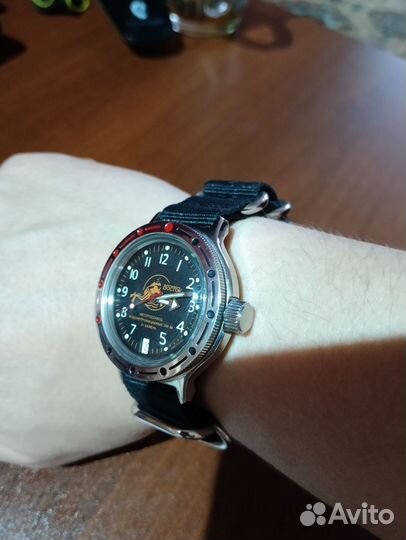 Амфибия 420380