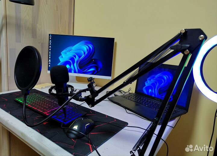 Профессиональный микрофон для звукозаписи