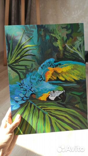 Картина попугай