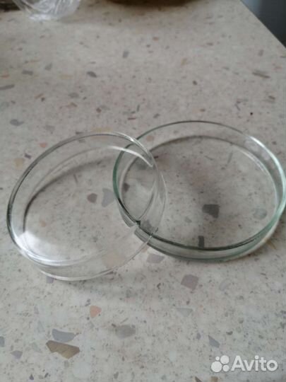 Чашка петри