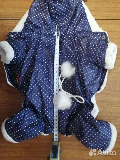 Одежда для собак