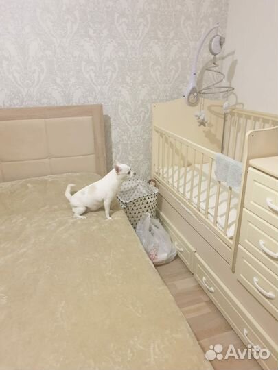 Кроватка детская с маятником