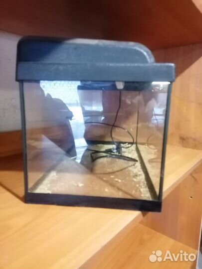 Аквариум