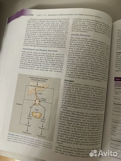 Essentials of Pathophysiology usmle Патфиз