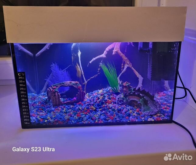 Аквариум с рыбками