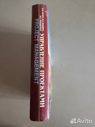 Управление проектами И. И. Мазур, В. Д. Шапиро