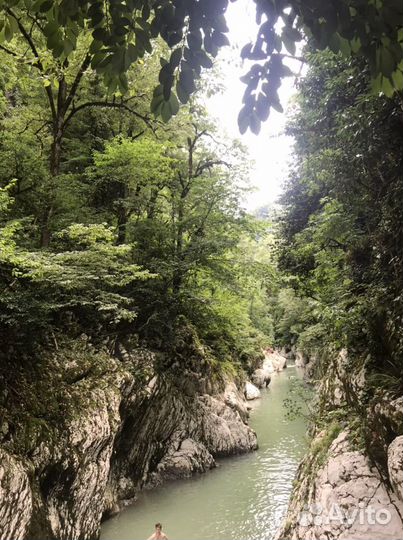 Междугородние пассажирские перевозки из/в Сочи