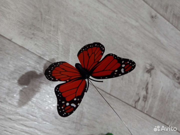 Интерактивная игрушка для кошек