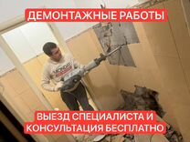 Демонтаж квартир/ Снос домов/ Сараев/ Построек