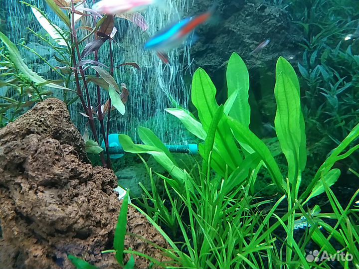 Аквариумные растения, удобрения, грунт, проппант