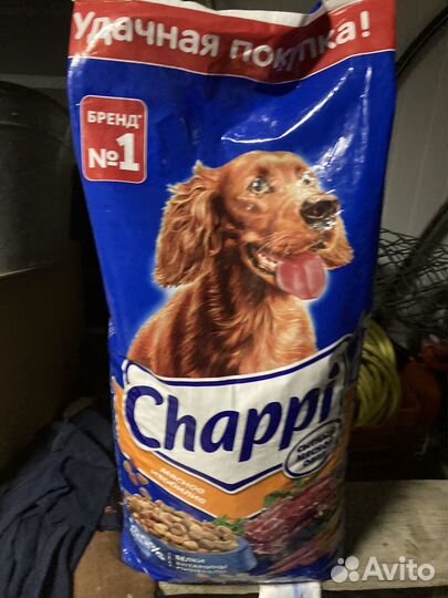 Сухой корм для собак