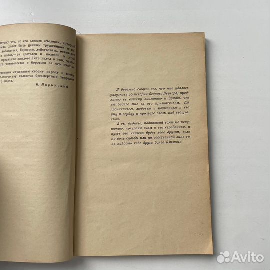 Страдания юного Вертера Гете