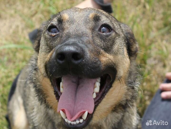 Предательски вернули как ненужную вещь