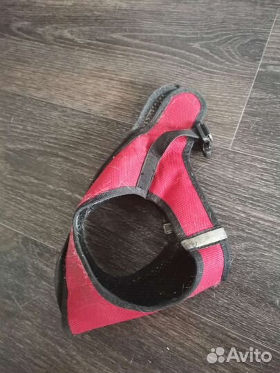 Шлейка для маленькой собаки