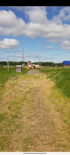Участок 13,5 сот. (СНТ, ДНП)