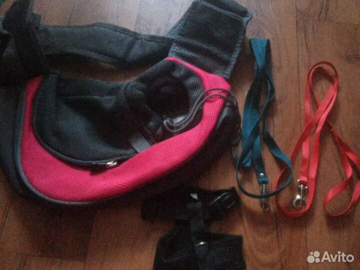 Амуниция для собак и кошек