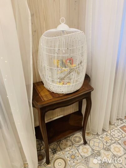 Клетка для попугая