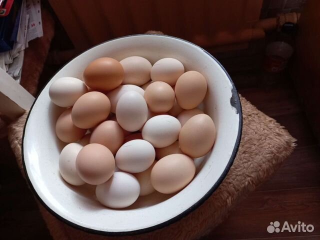 Домашние куриные яйца