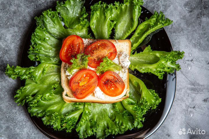 Фотофон виниловый