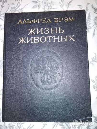 Книги детские