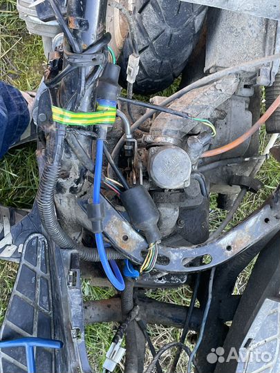 Нексус пантера