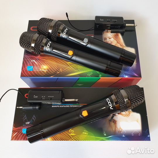 Караоке-система с двумя беспроводными микрофонами