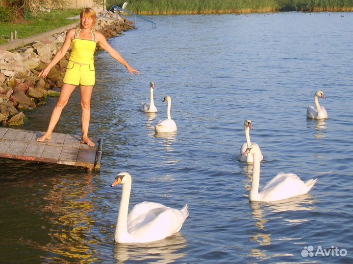 Женская одежда пляжный комплект