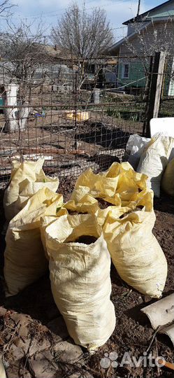 Куриный помёт