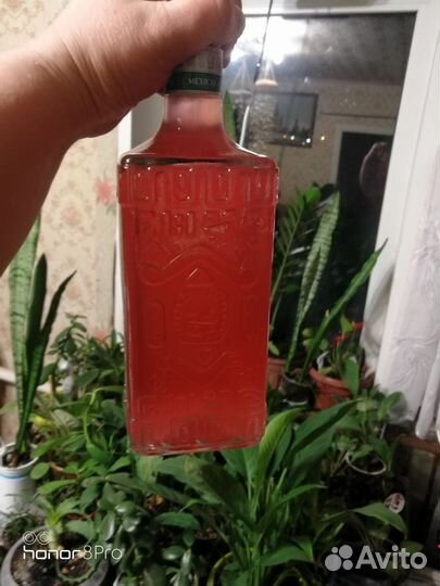 Винный гриб