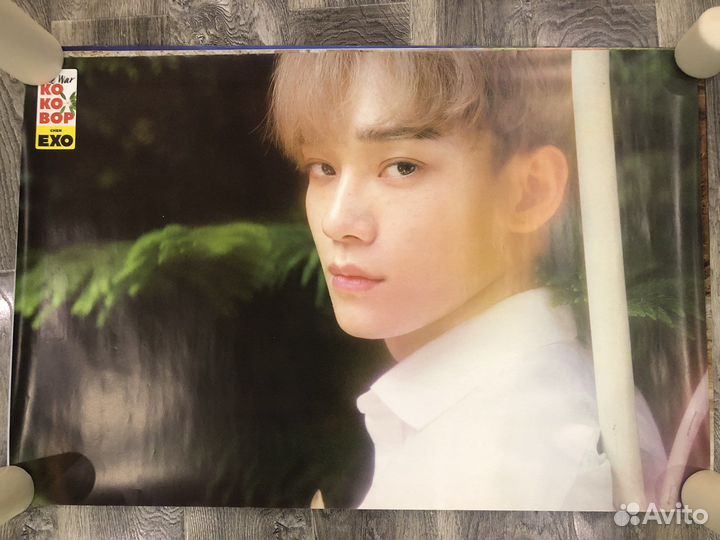 Постеры EXO / CBX / chen / jongdae