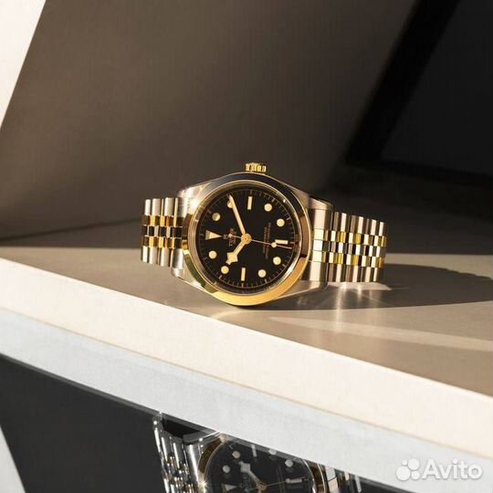 Часы Tudor Black Bay 39 Steel/Gold M79663-0001