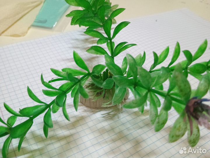 Водоросли для аквариума (не живые)