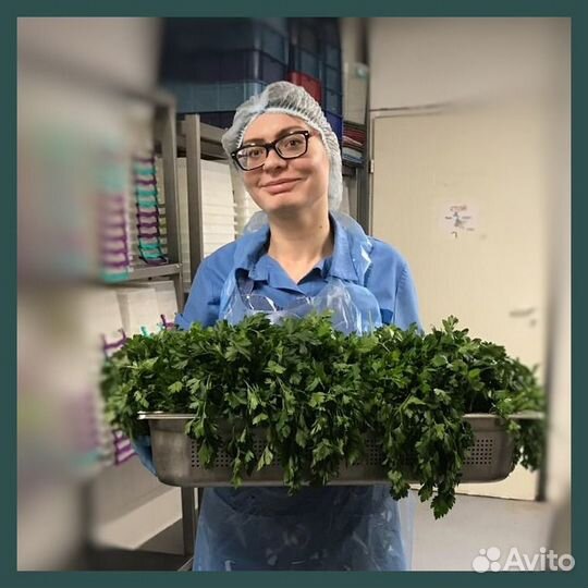 Помощник повара