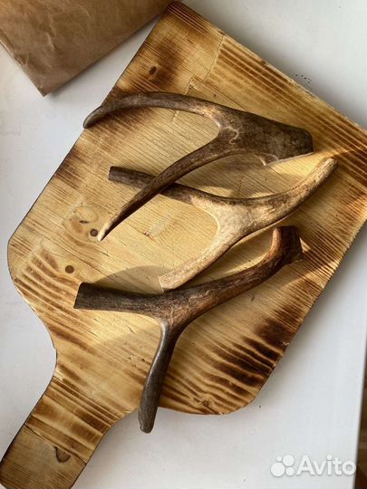 Рога натуральные для собак