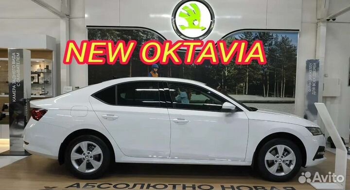 Индивидуальный трансфер аэропорты Москвы