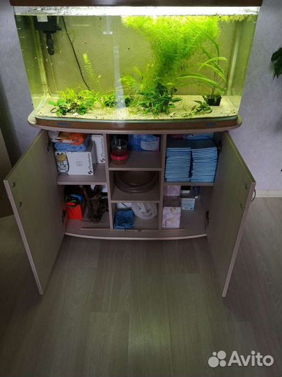 Аквариум