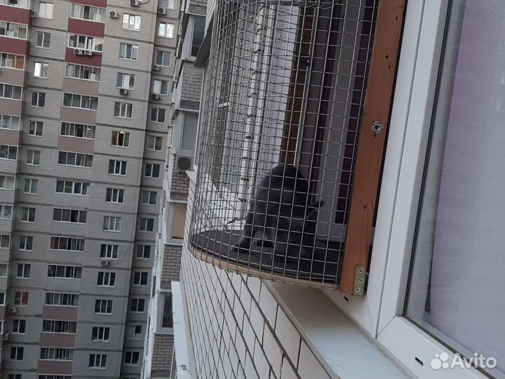 Балкон для кошки
