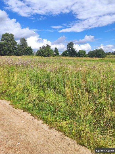 Участок 15 сот. (ИЖС)