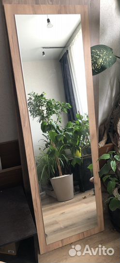 Дверца с зеркалом