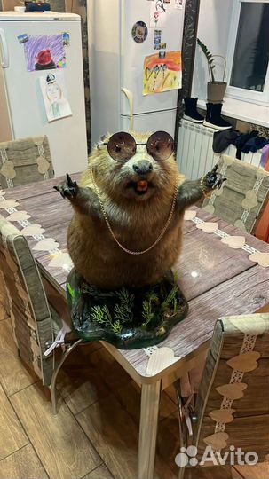 Охота и рыбалка