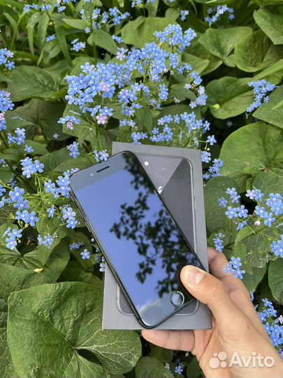 iPhone 8, 64 ГБ
