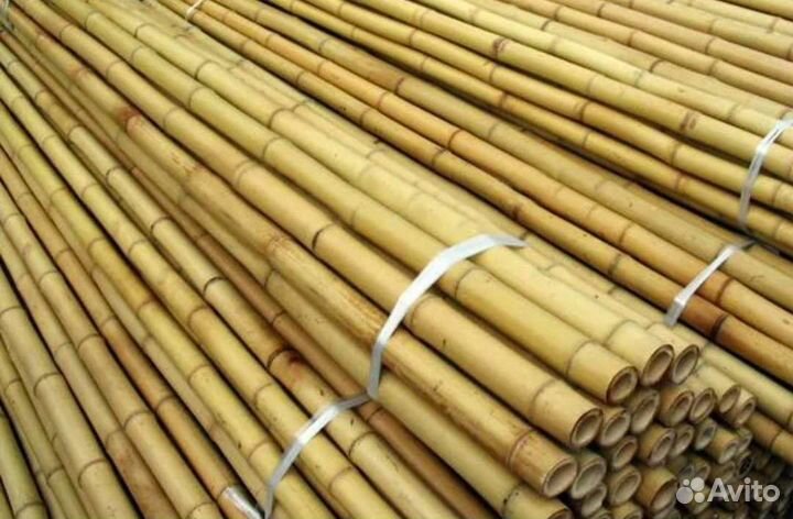 Бамбук ствол/стебель/ветка для декора до 310см