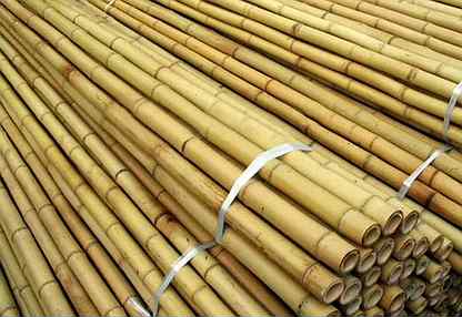 Бамбук ствол/стебель/ветка для декора до 310см