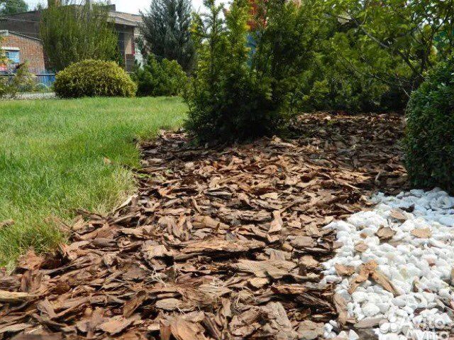 Сосновая кора/мульча