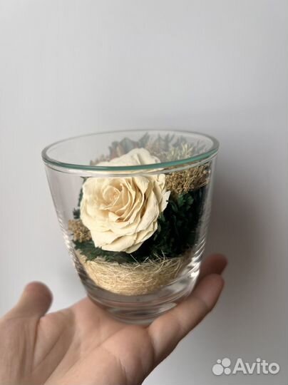 Стабилизированные цветы