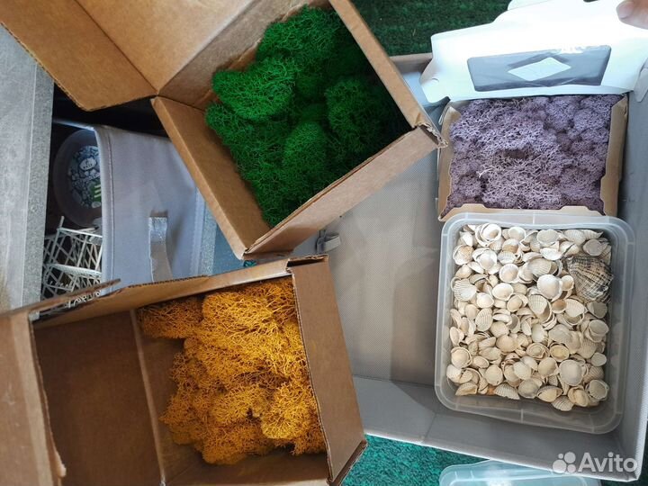 Набор для творчества, для флорариумов